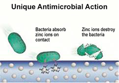 Unique Antimicrobial Action